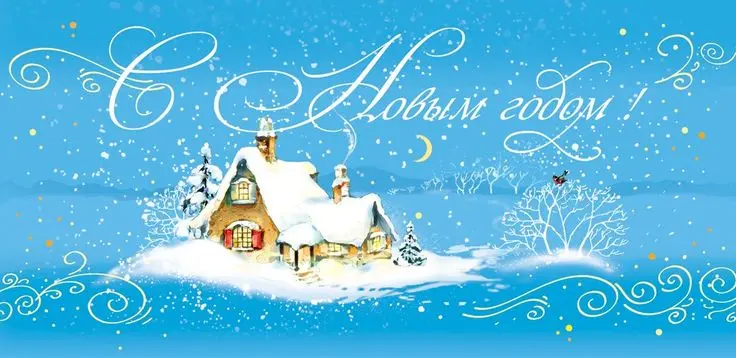 В детском саду прошли новогодние утренники!