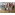 image_1